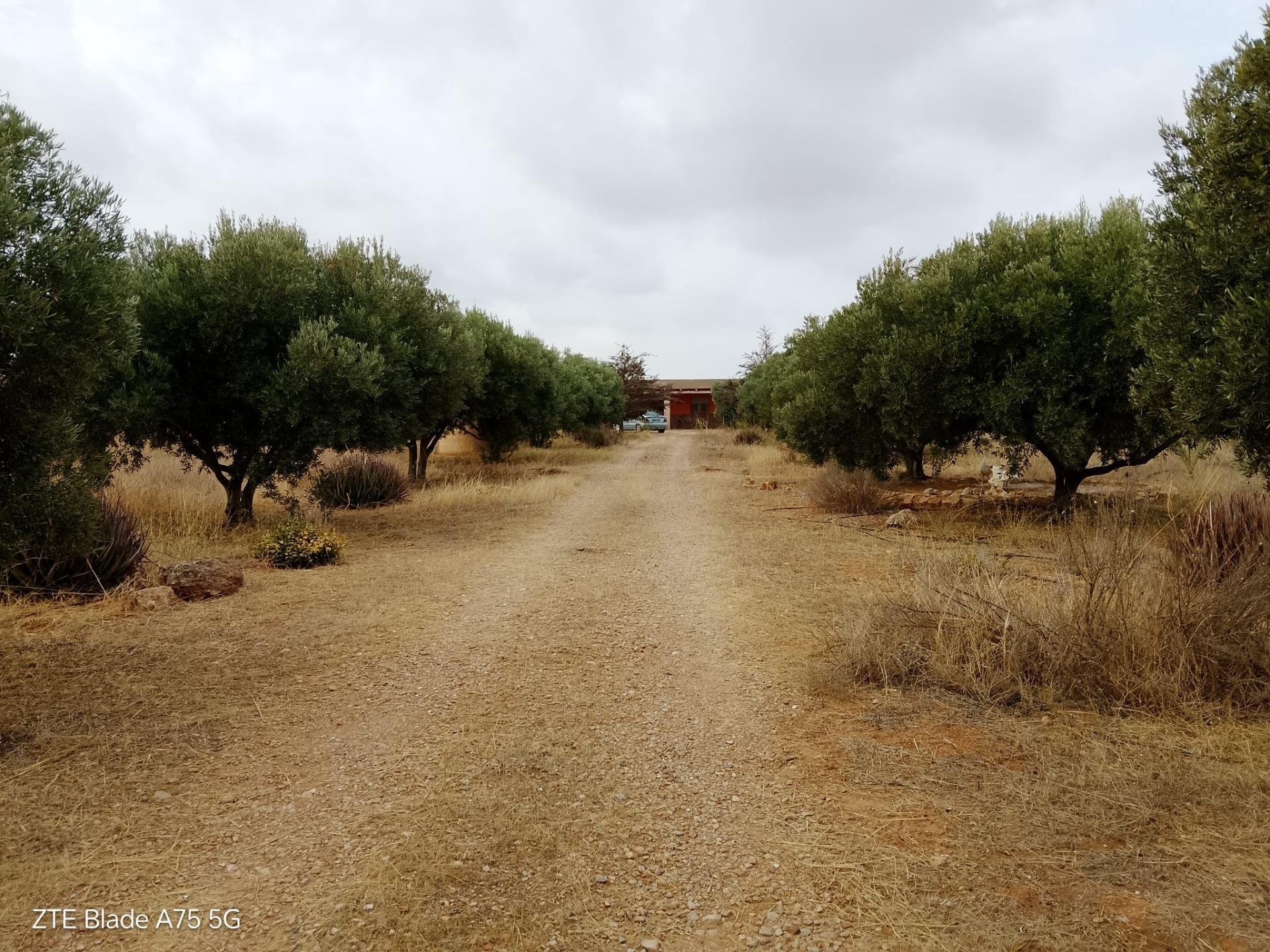 Finca Cartagena, Murcia, Spānijā 4 istabas, 230 m2 Nr. 139443