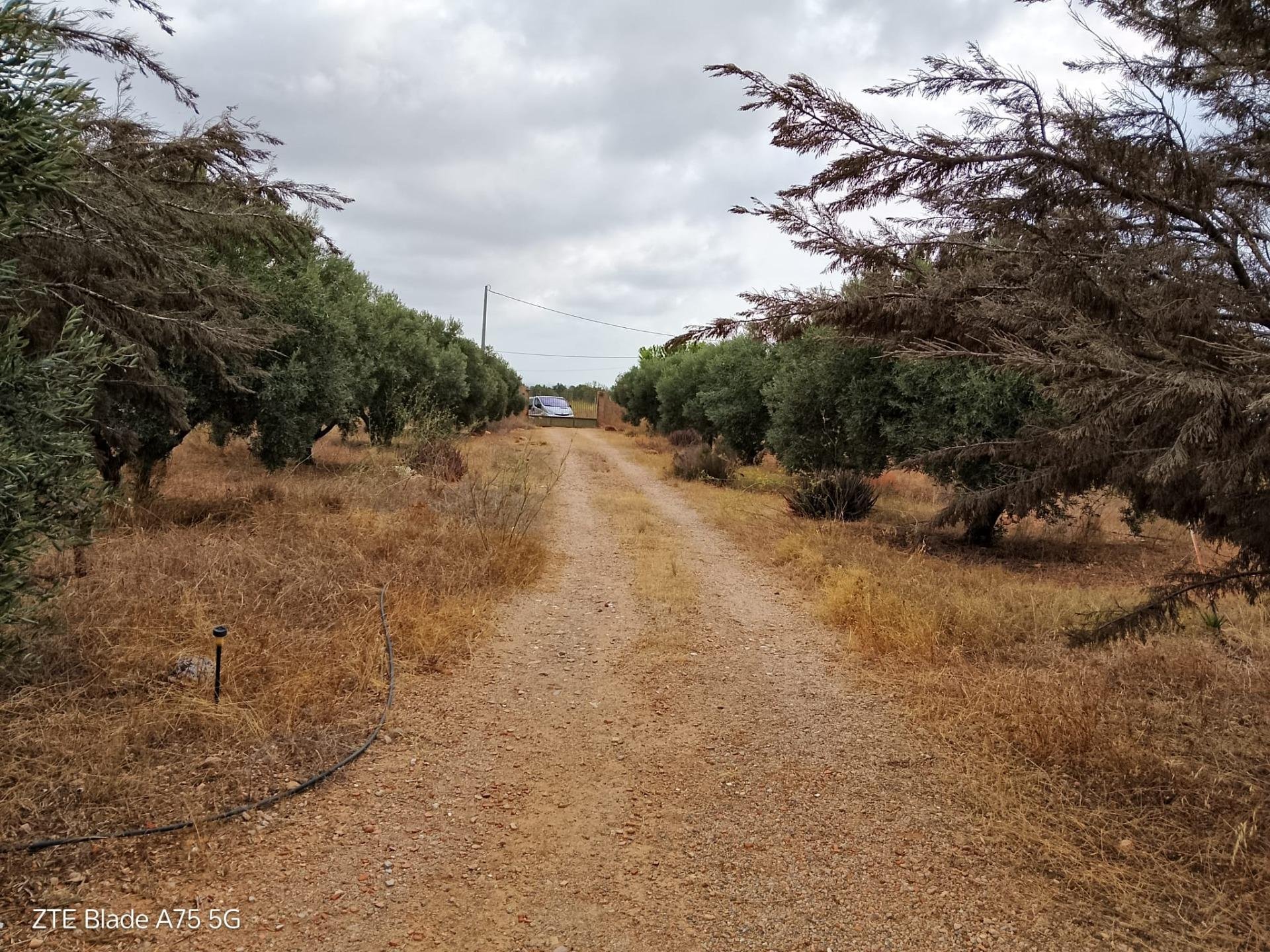Finca Cartagena, Murcia, Spānijā 4 istabas, 230 m2 Nr. 139443