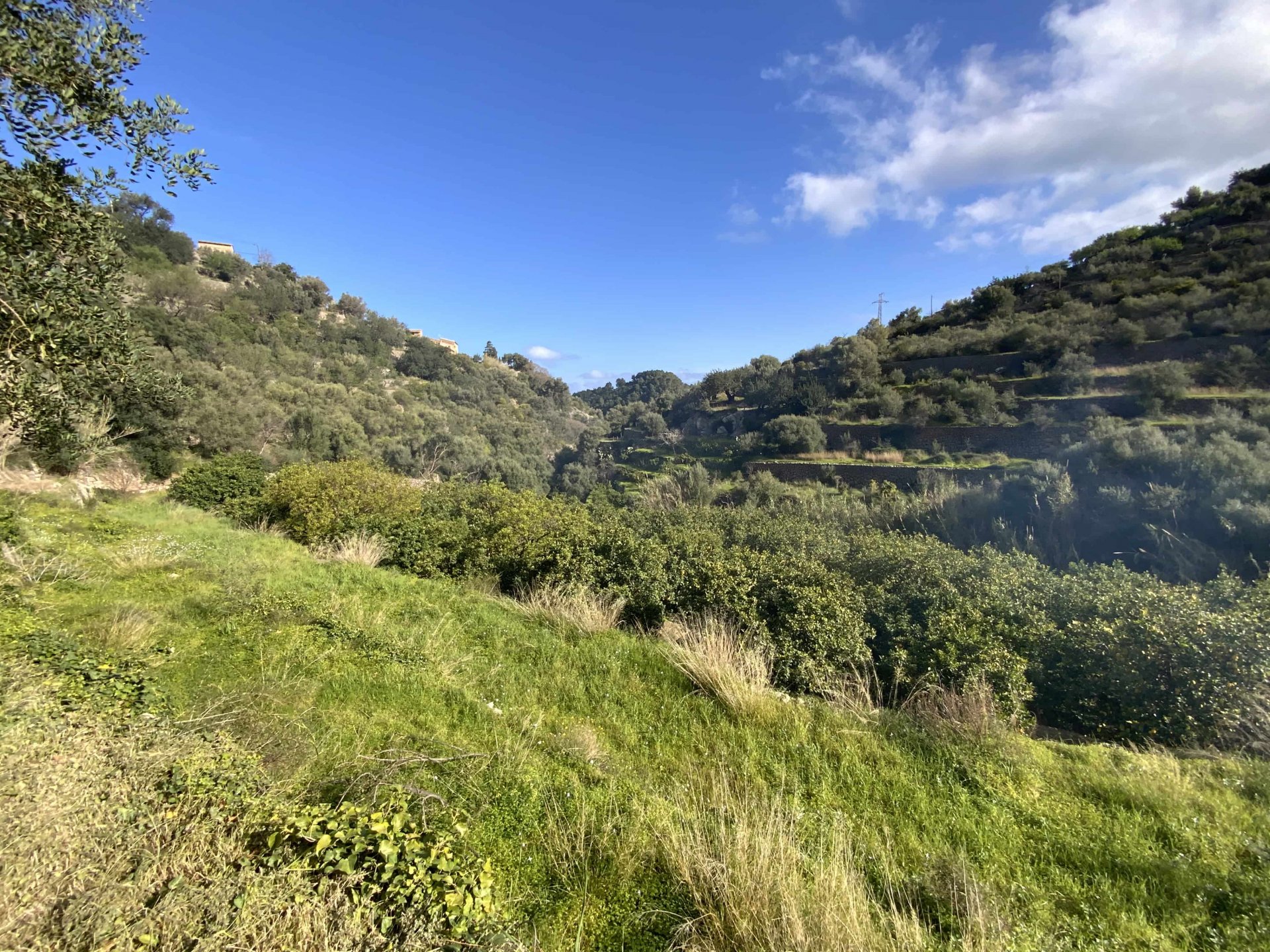 Land plot in Deia, Mallorca, Spain 1 bedroom, 3529 sq.m. No. 32699
