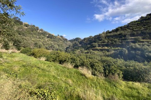 Działka w Deia, Mallorca, Hiszpania 1 sypialnia, 3529 mkw. nr 32699