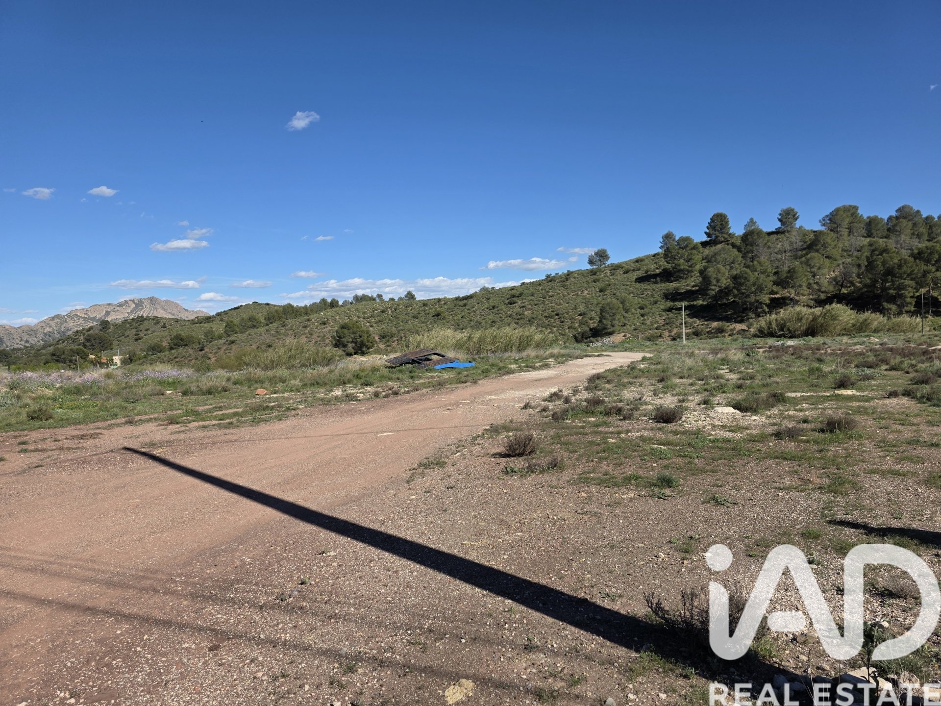 Land plot in Calasparra, Murcia, Spain 40000 sq.m. No. 188432