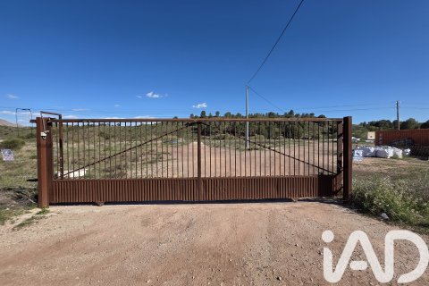Land plot in Calasparra, Murcia, Spain 40000 sq.m. No. 188432