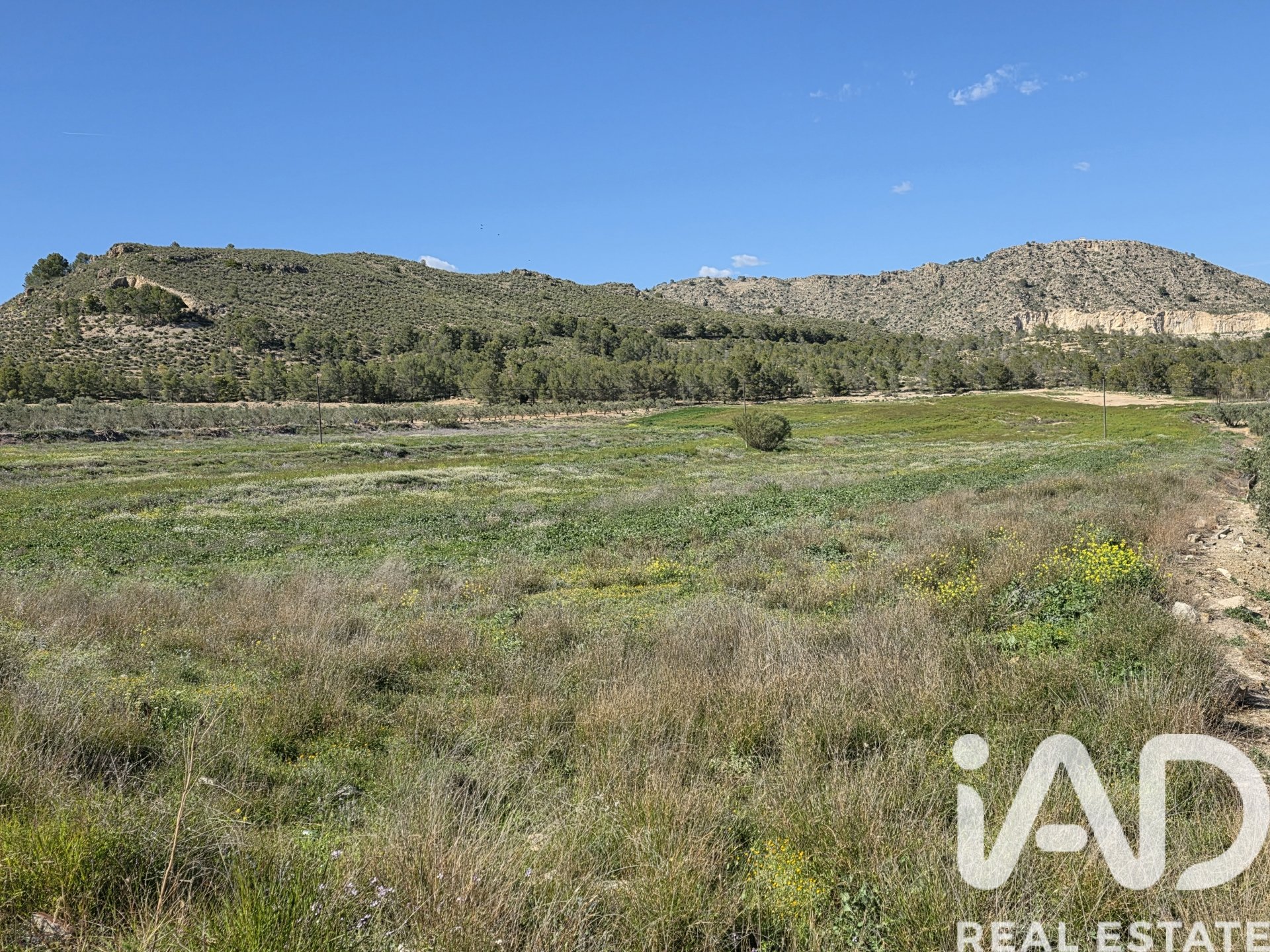 Land plot in Calasparra, Murcia, Spain 38000 sq.m. No. 188430