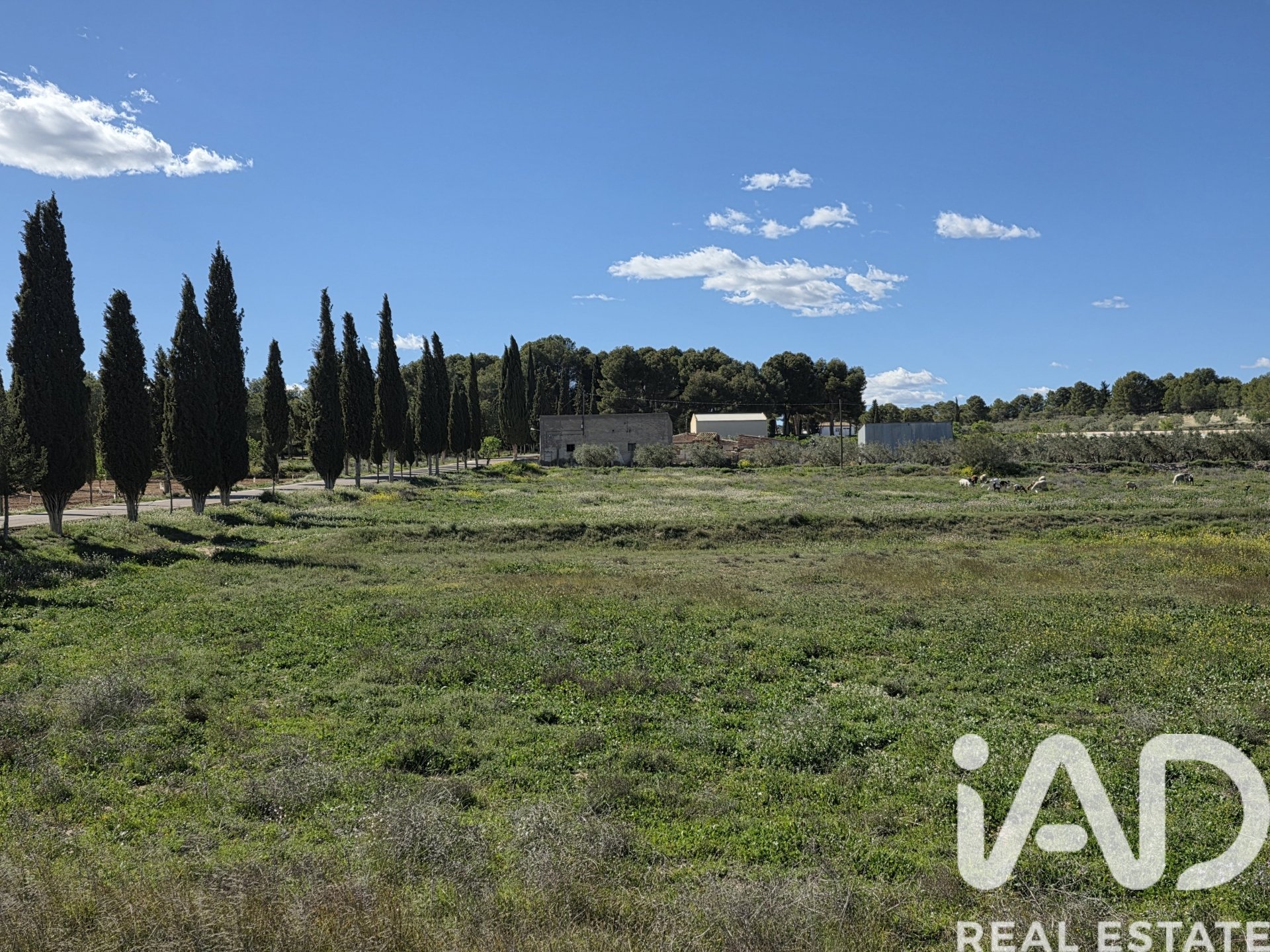 Land plot in Calasparra, Murcia, Spain 38000 sq.m. No. 188430