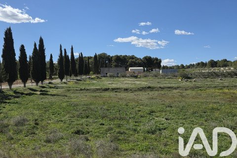 Land plot in Calasparra, Murcia, Spain 38000 sq.m. No. 188430