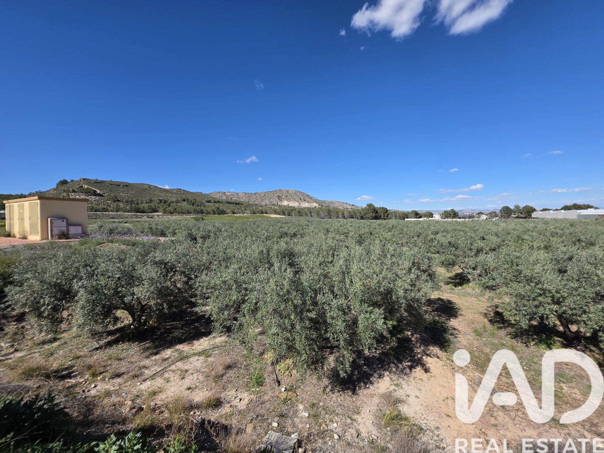 Land plot in Calasparra, Murcia, Spain 1300 sq.m. No. 188431