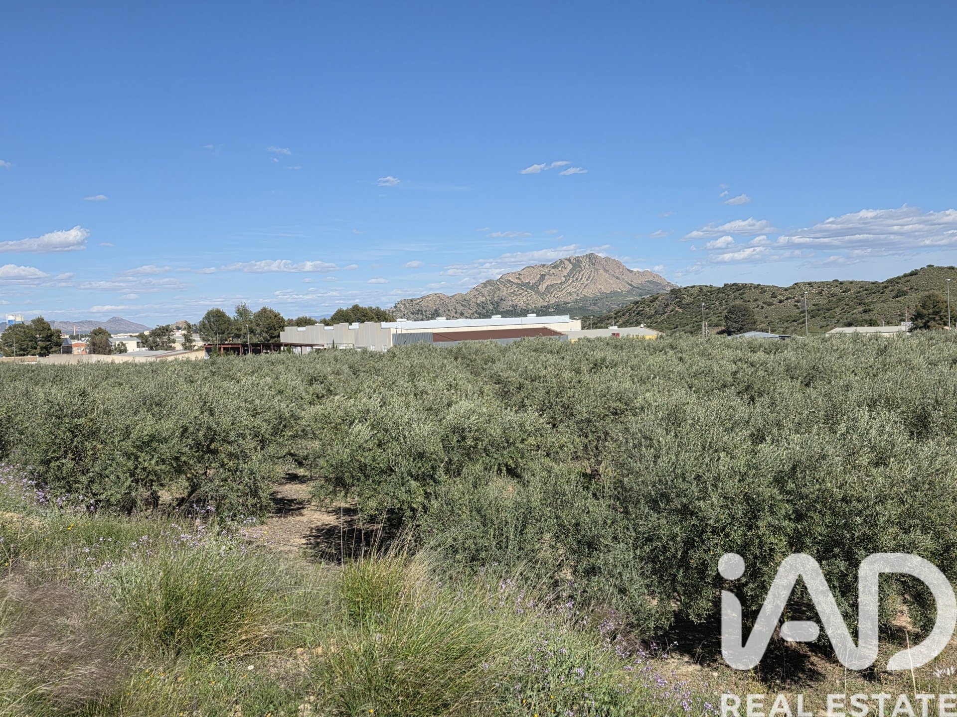 Land plot in Calasparra, Murcia, Spain 1300 sq.m. No. 188431
