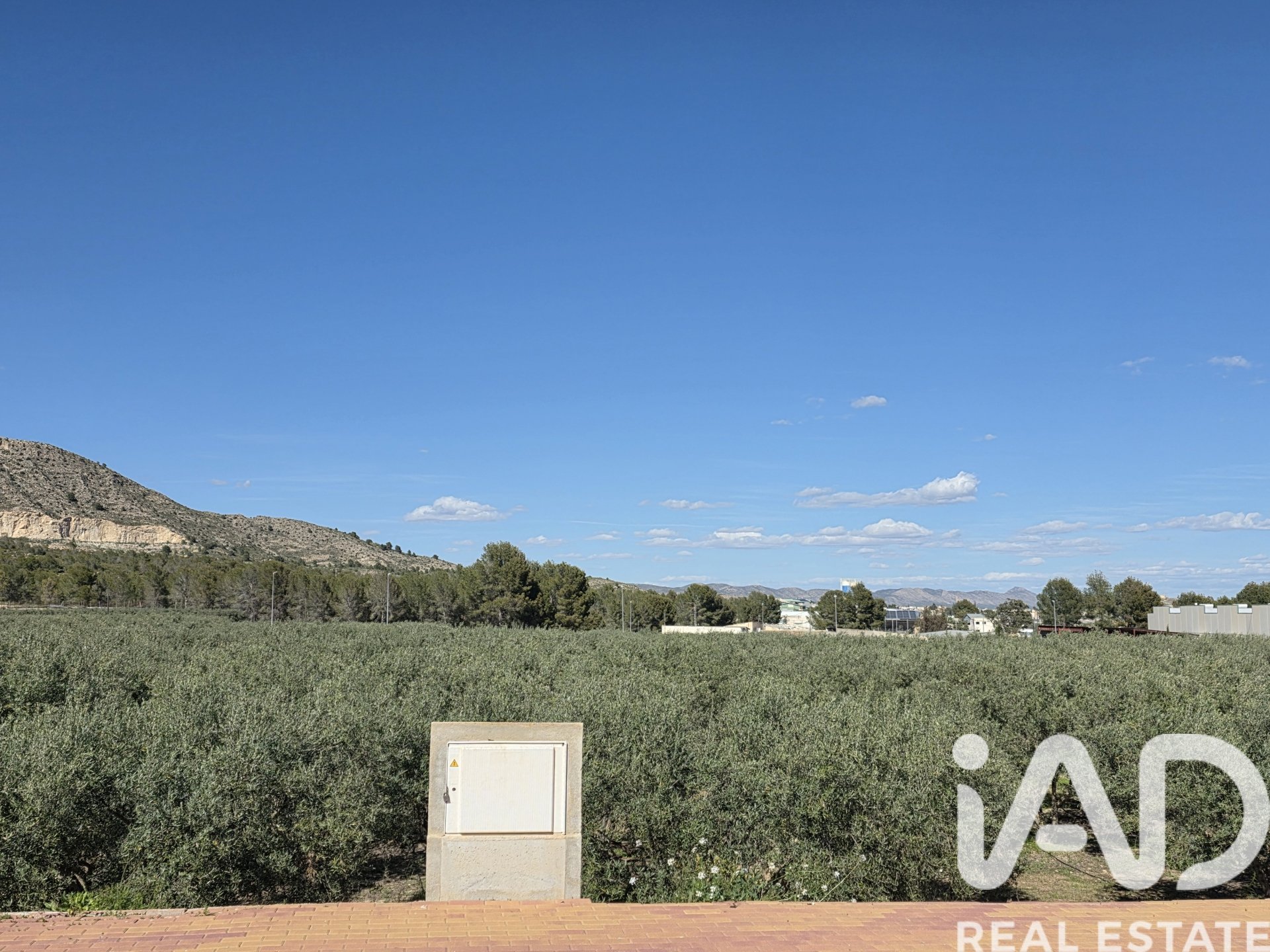 Land plot in Calasparra, Murcia, Spain 1300 sq.m. No. 188431