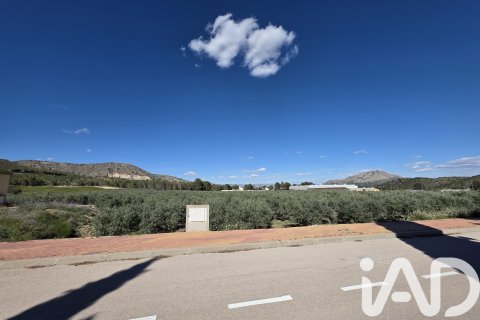 Tomt i Calasparra, Murcia, Spanien 1300 kvm. Nr. 188431