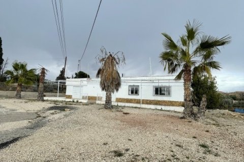 Hus i Elche, Alicante, Spanien 3 sovrum, 189 kvm. Nr. 152612