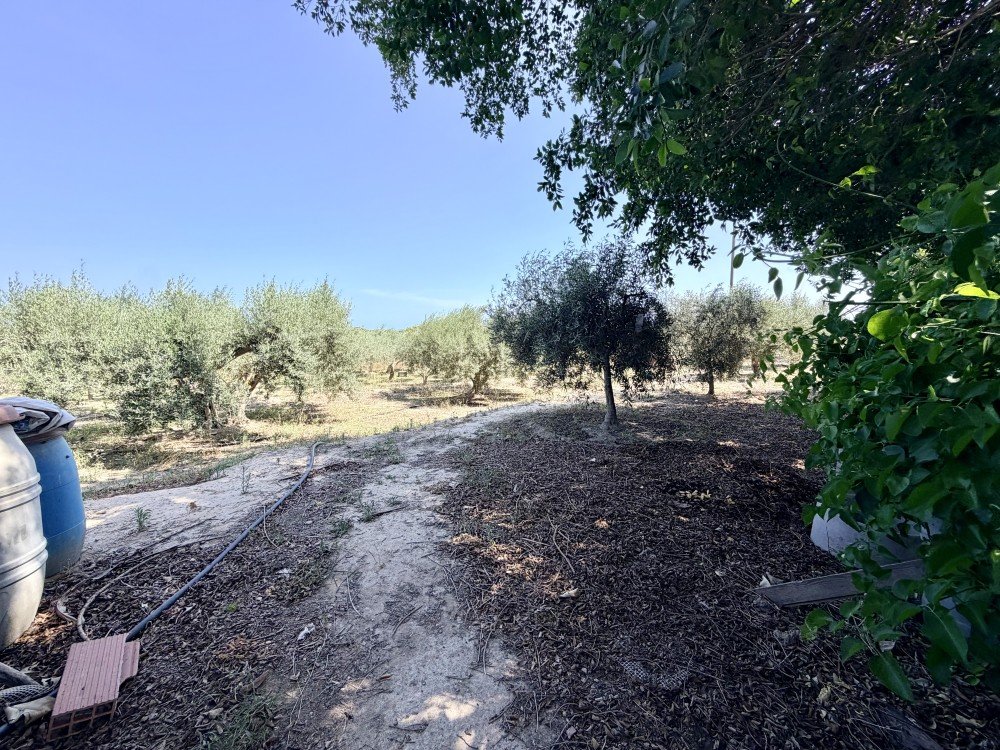 Finca i La Marina, Alicante, Spanien 5 sovrum, 200 kvm. Nr. 189883