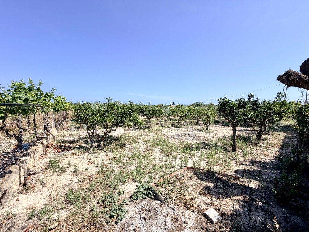 Finca i La Marina, Alicante, Spanien 5 sovrum, 200 kvm. Nr. 189883