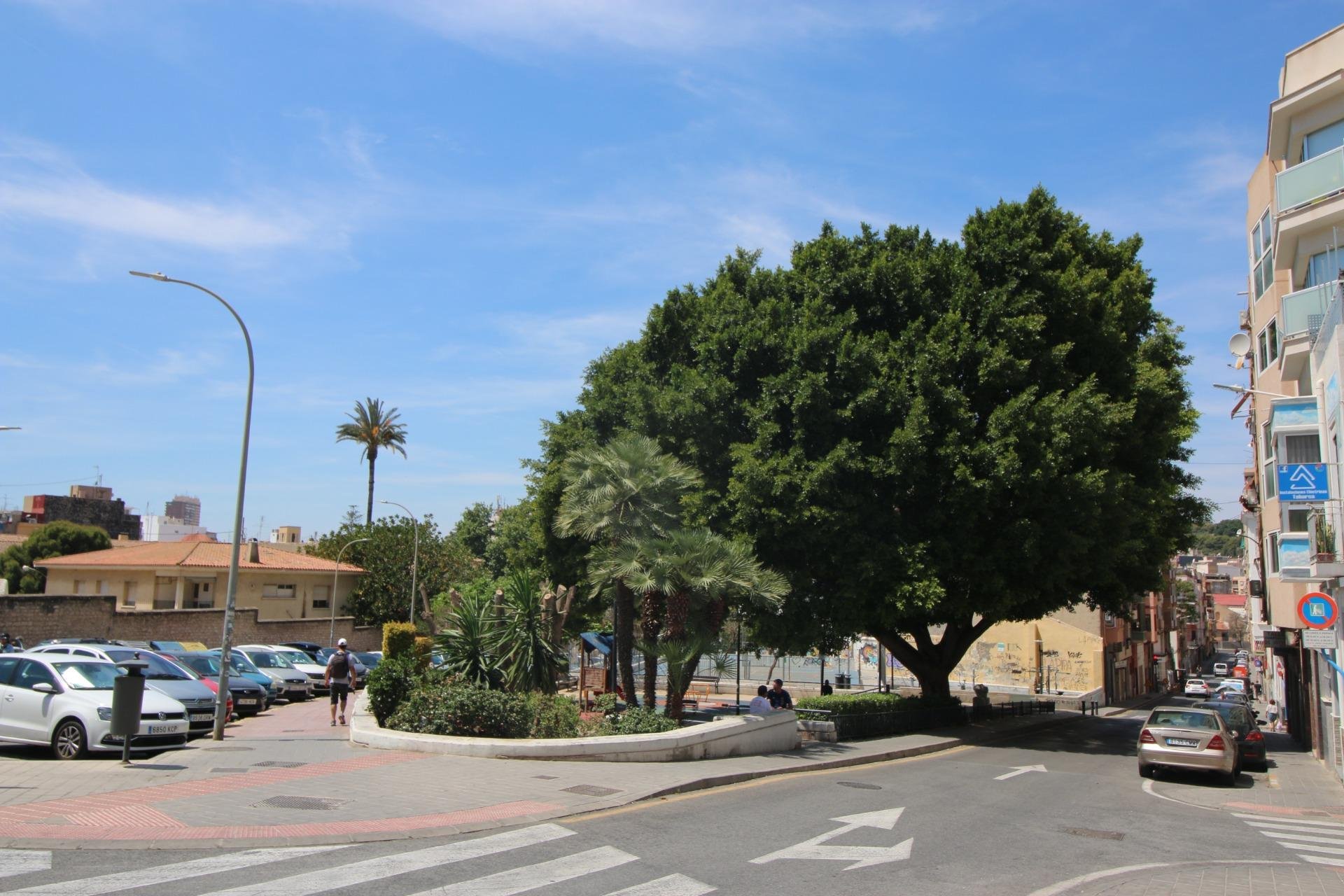 Liikekiinteistö Alicante, Espanja 24 makuuhuonetta, 1280 m2 No. 165210