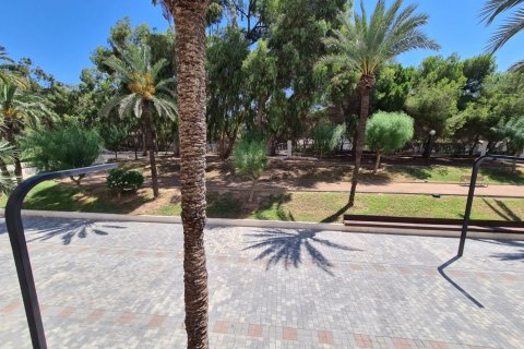 Wohnung in Guardamar del Segura, Alicante, Spanien 4 Schlafzimmer, 110 m2 Nr. 74707