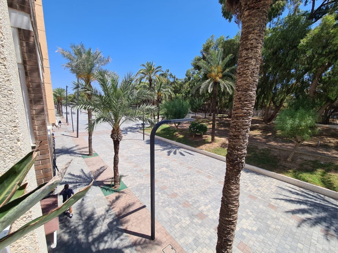 Apartment in Guardamar del Segura, Alicante, Spain 4 bedrooms, 110 sq.m. No. 74707