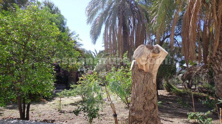 Hus i Partaloa, Almeria, Spanien 5 sovrum, 300 kvm. Nr. 102264