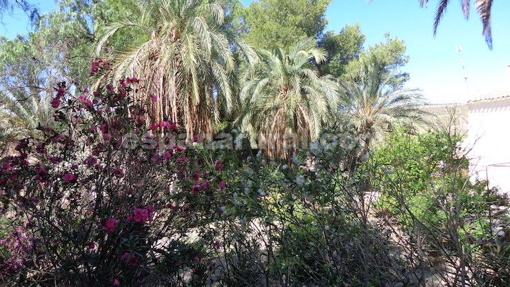 Hus i Partaloa, Almeria, Spanien 5 sovrum, 300 kvm. Nr. 102264