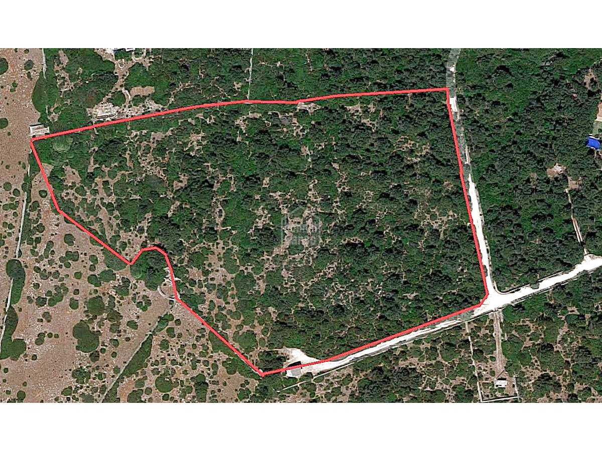 Terreno a Ciutadella De Menorca, Menorca, Spagna N° 183231