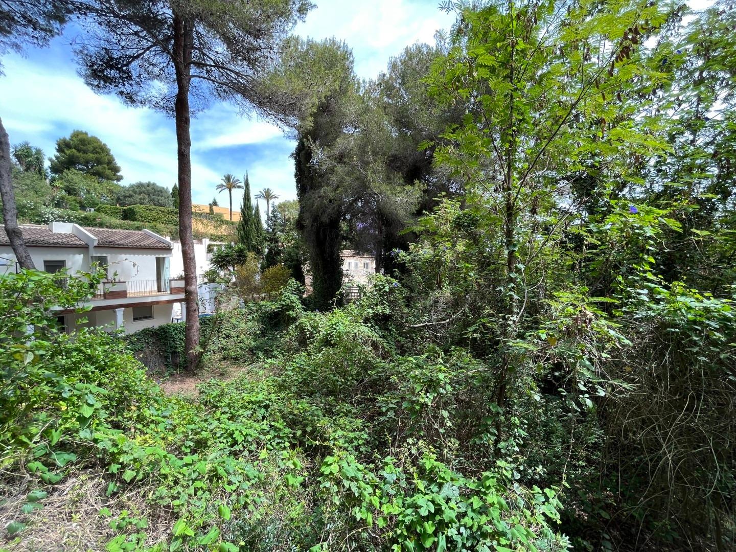 Zemes gabals Cap Martin, Alicante, Spānijā Nr. 164984