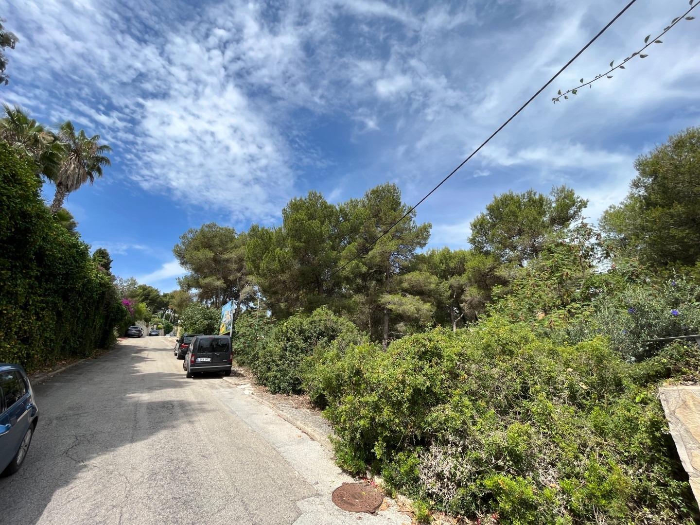 Zemes gabals Cap Martin, Alicante, Spānijā Nr. 164984