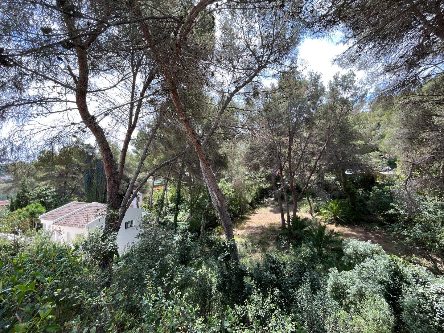 Zemes gabals Cap Martin, Alicante, Spānijā Nr. 164984