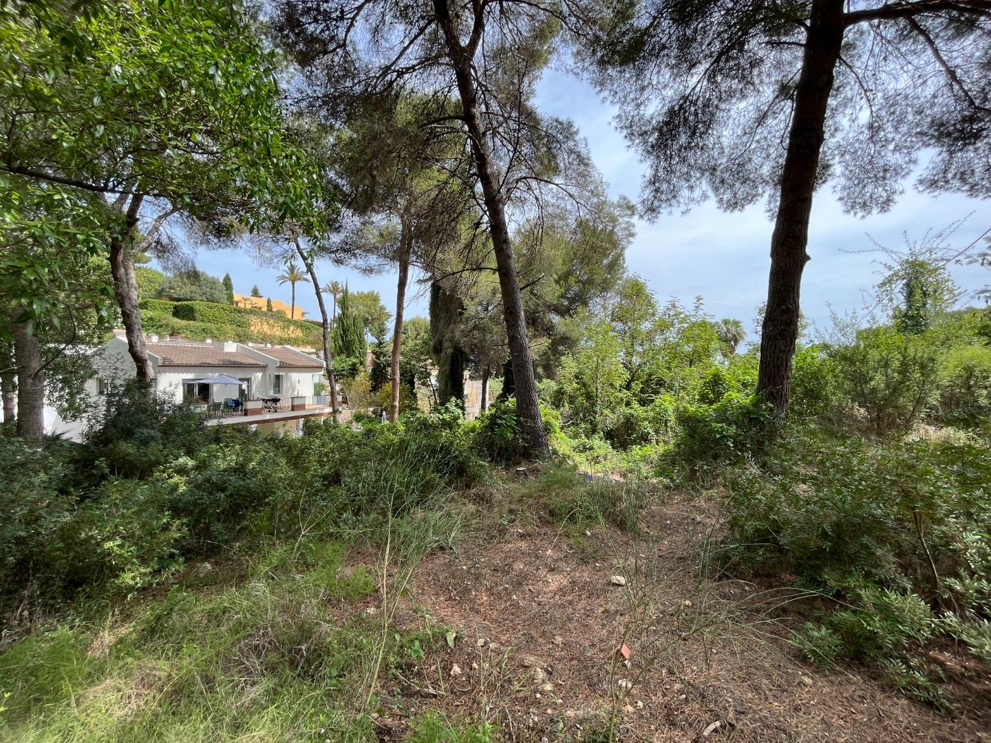 Zemes gabals Cap Martin, Alicante, Spānijā Nr. 164984