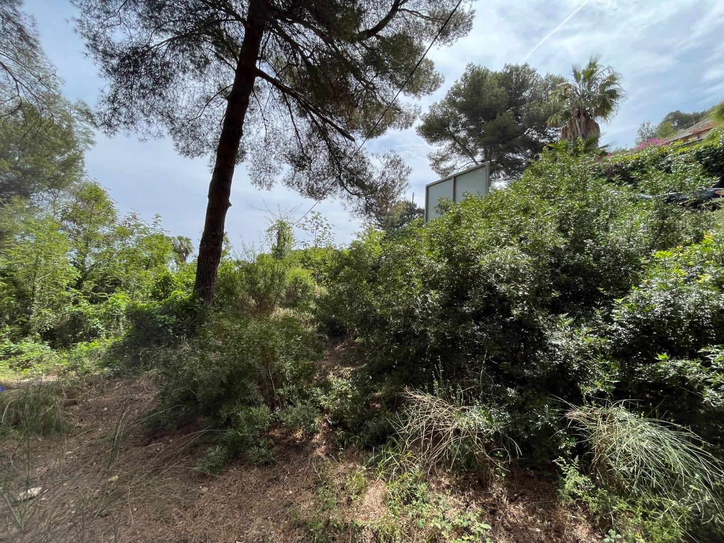Zemes gabals Cap Martin, Alicante, Spānijā Nr. 164984