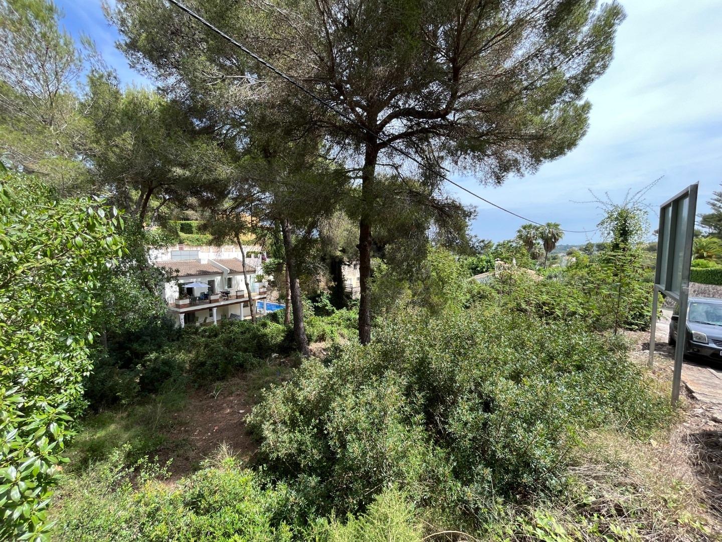 Zemes gabals Cap Martin, Alicante, Spānijā Nr. 164984