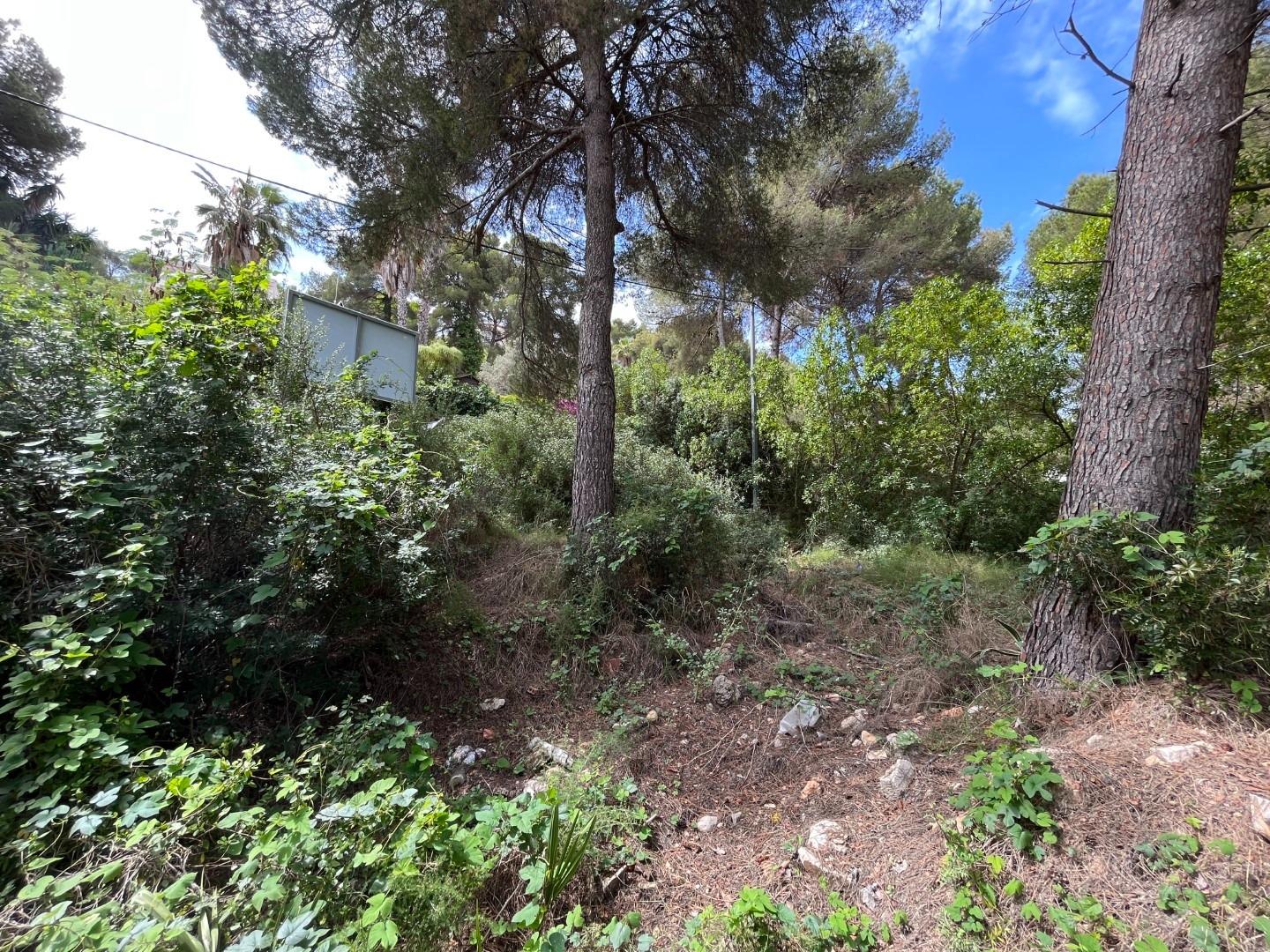 Zemes gabals Cap Martin, Alicante, Spānijā Nr. 164984