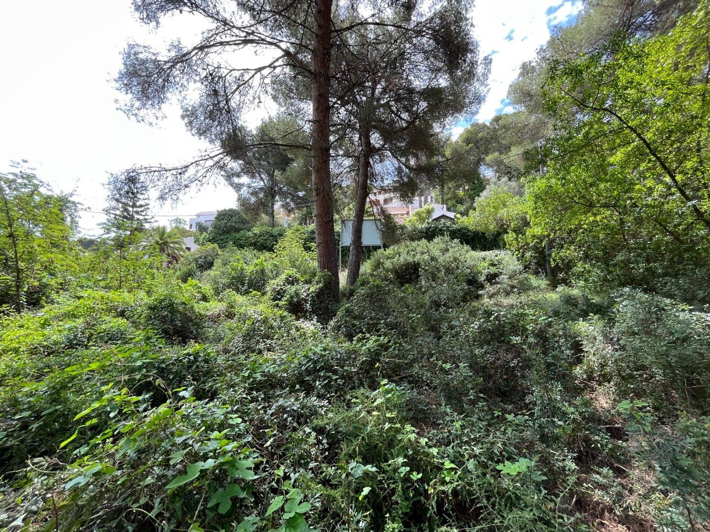 Zemes gabals Cap Martin, Alicante, Spānijā Nr. 164984