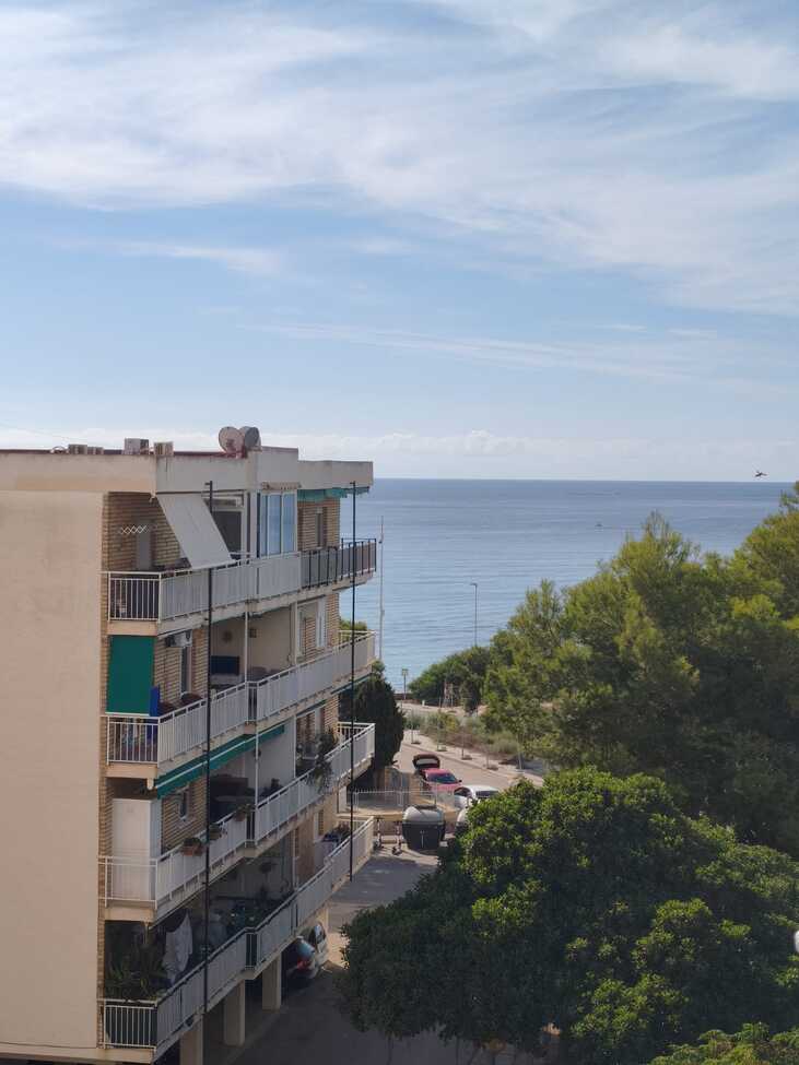 Huoneisto Punta Prima, Alicante, Espanja 3 makuuhuonetta, 78 m2 No. 195982
