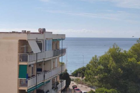 Apartment in Punta Prima, Alicante, Spain 3 bedrooms, 78 sq.m. No. 195982