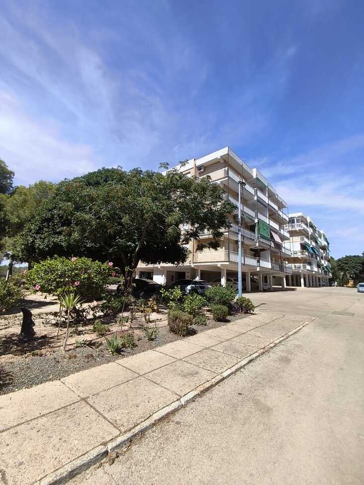Huoneisto Punta Prima, Alicante, Espanja 3 makuuhuonetta, 78 m2 No. 195982