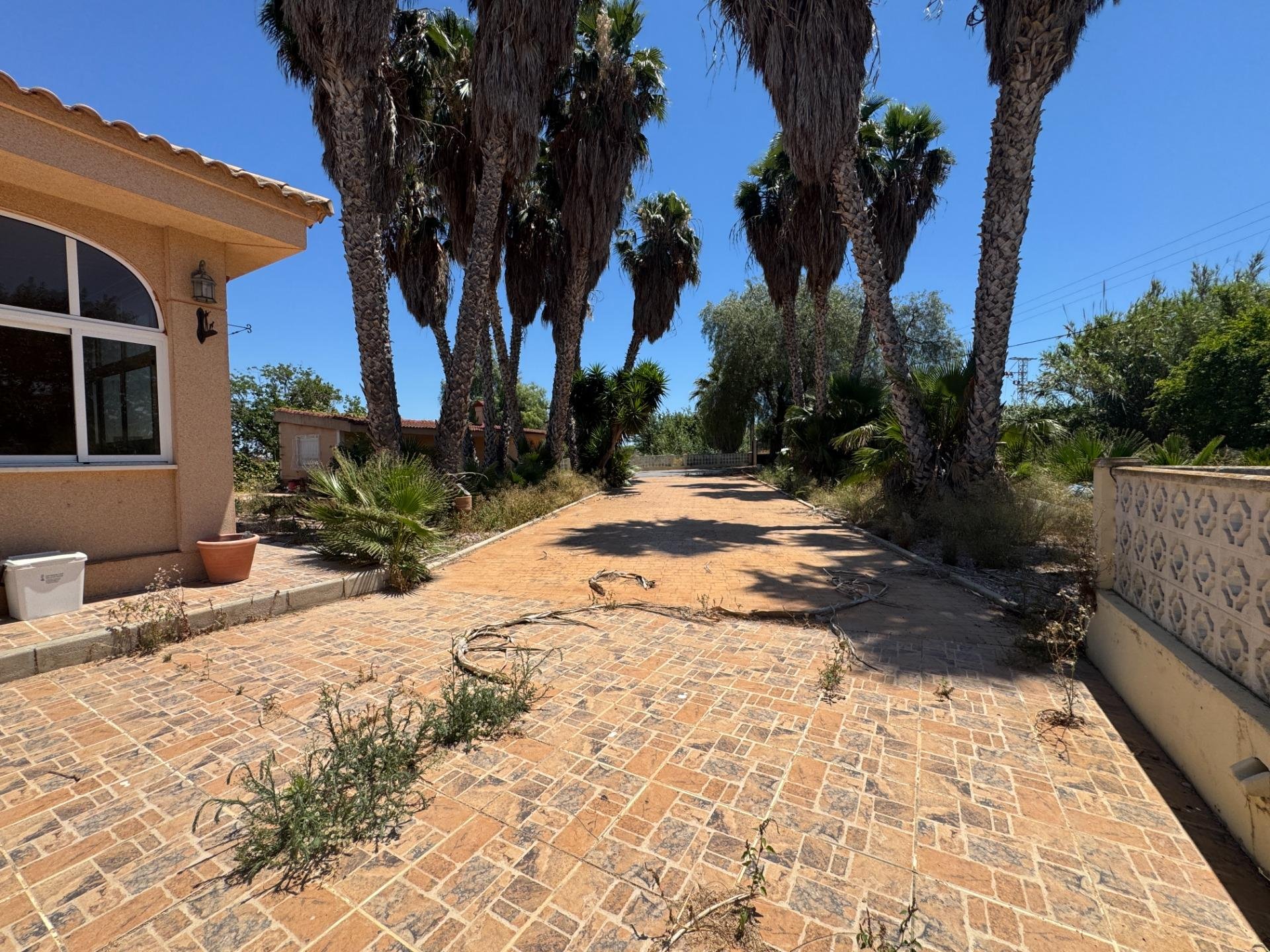 Finca a Dolores, Alicante, Spagna 5 camere da letto, 277 mq. N° 195981