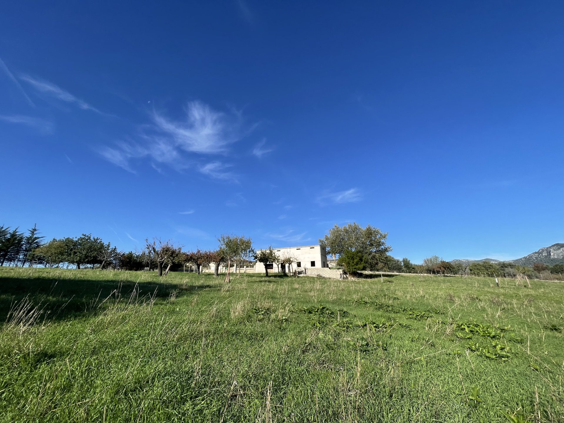 Działka w Moscari, Mallorca, Hiszpania 4 sypialnie, 21675 mkw. nr 143988