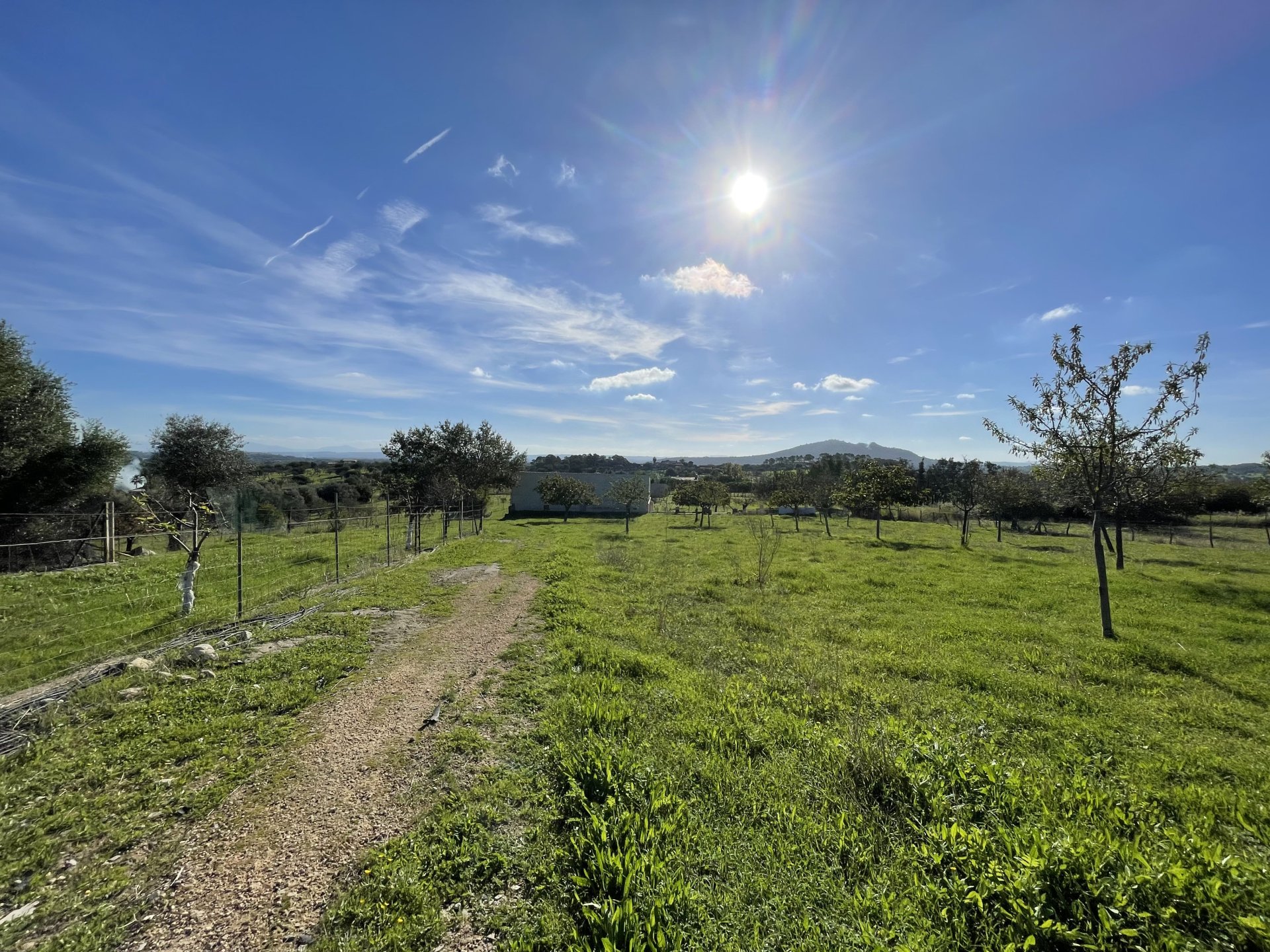 Działka w Moscari, Mallorca, Hiszpania 4 sypialnie, 21675 mkw. nr 143988