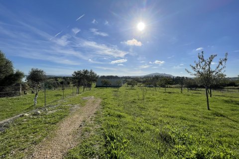 Tontti Moscari, Mallorca, Espanja 4 makuuhuonetta, 21675 m2 No. 143988