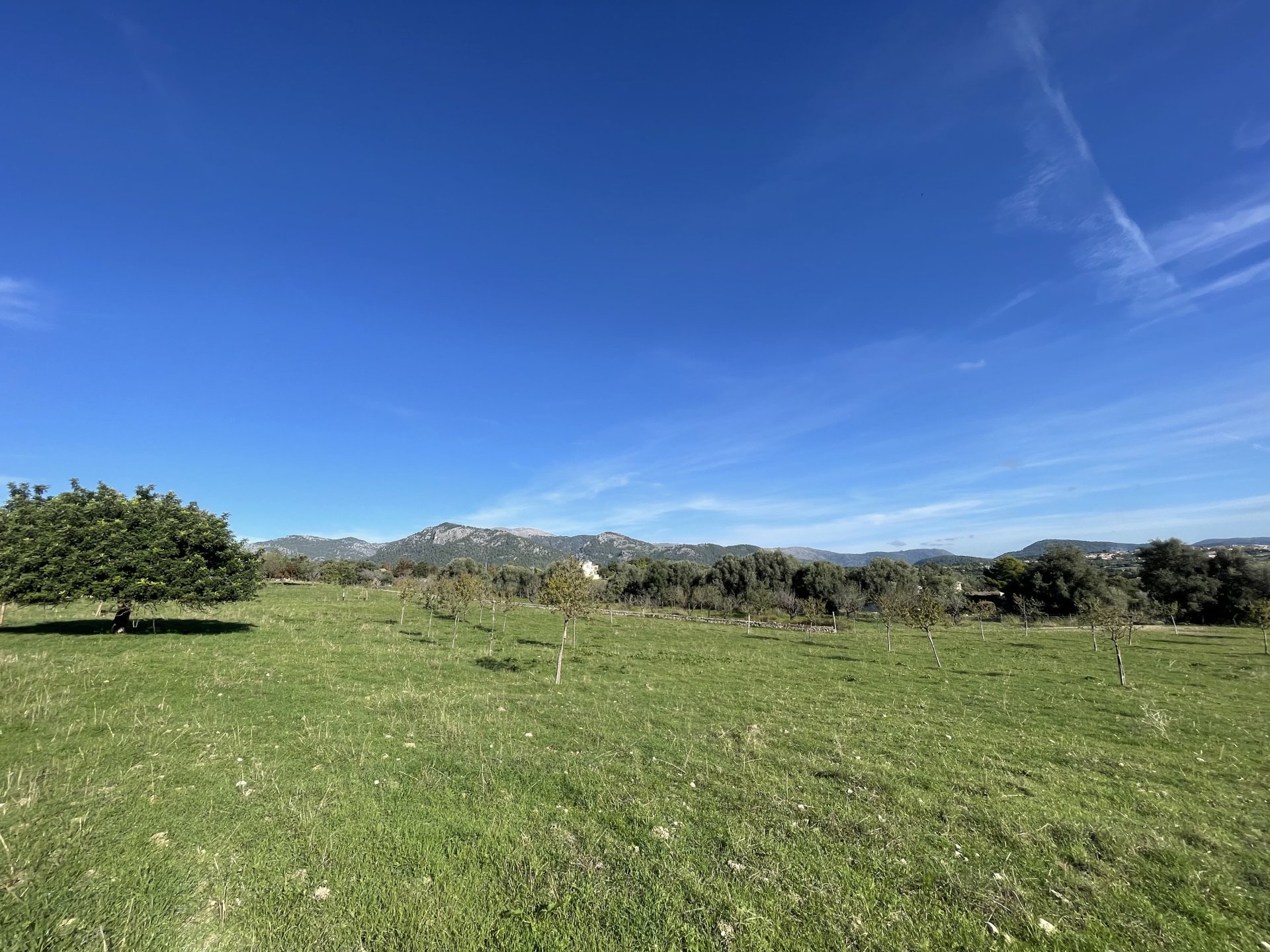Działka w Moscari, Mallorca, Hiszpania 4 sypialnie, 21675 mkw. nr 143988