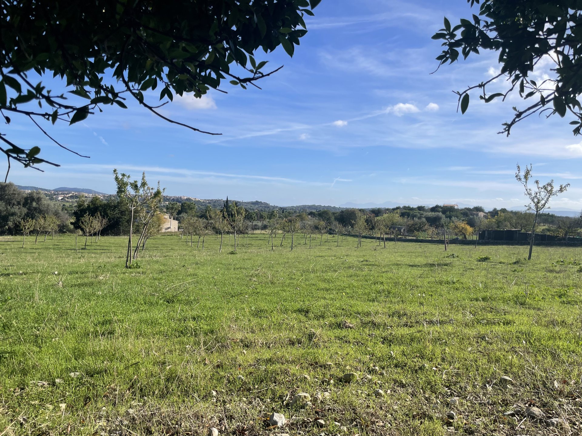 Działka w Moscari, Mallorca, Hiszpania 4 sypialnie, 21675 mkw. nr 143988