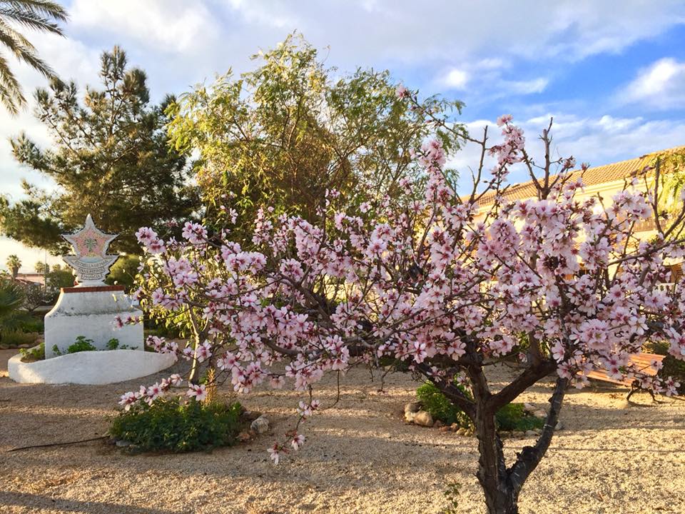 Villa in Alicante, Spanien 3 Schlafzimmer, 120 m2 Nr. 144857