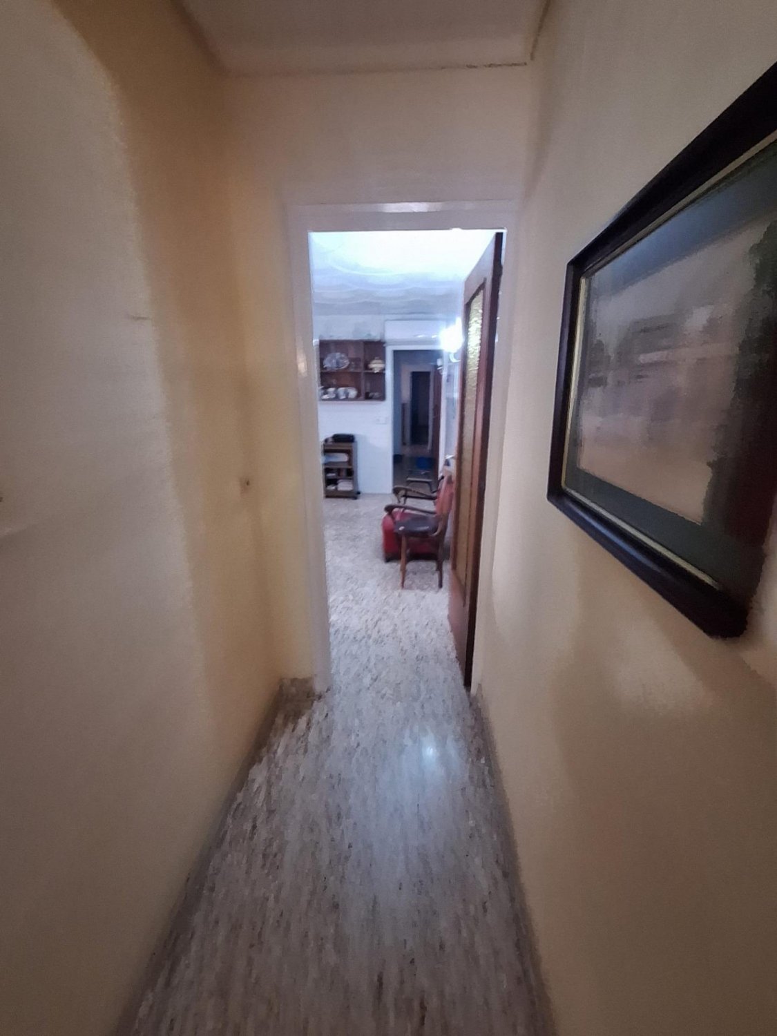 Commercial property à Torrevieja, Alicante, Espagne 5 chambres, 296 m2 No. 119807