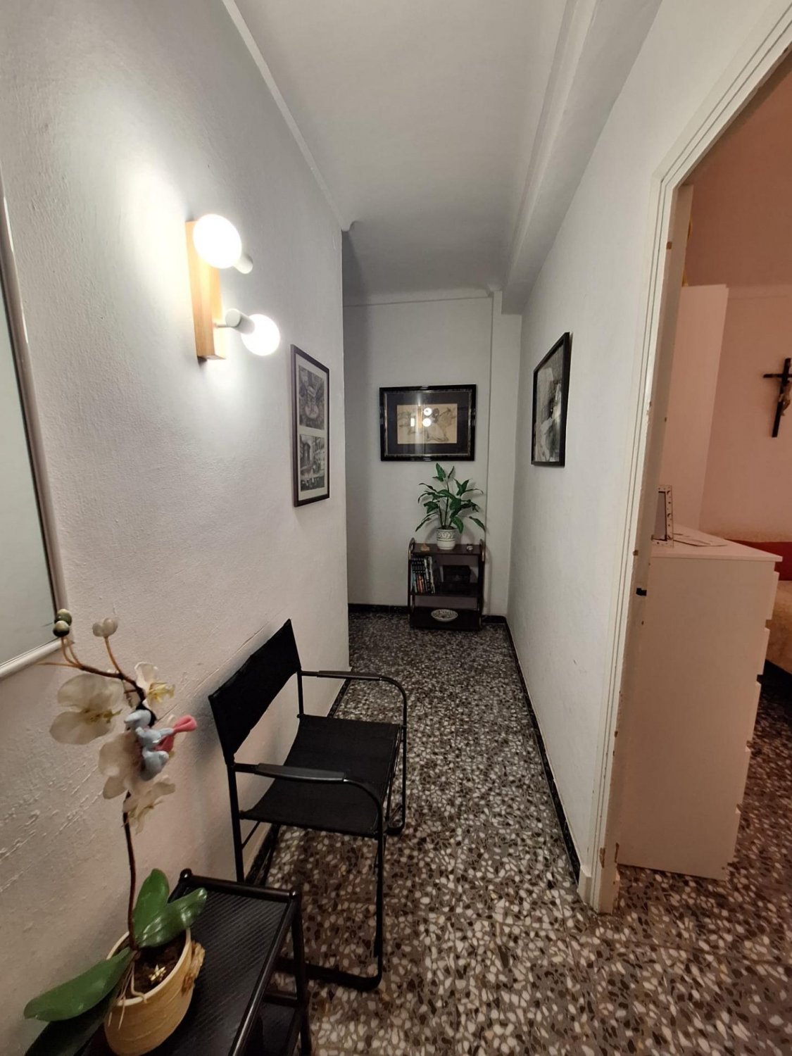Commercial property à Torrevieja, Alicante, Espagne 5 chambres, 296 m2 No. 119807