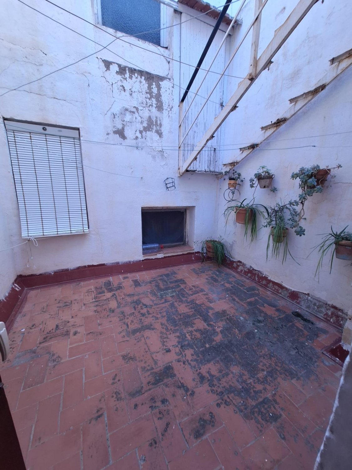 Commercial property à Torrevieja, Alicante, Espagne 5 chambres, 296 m2 No. 119807