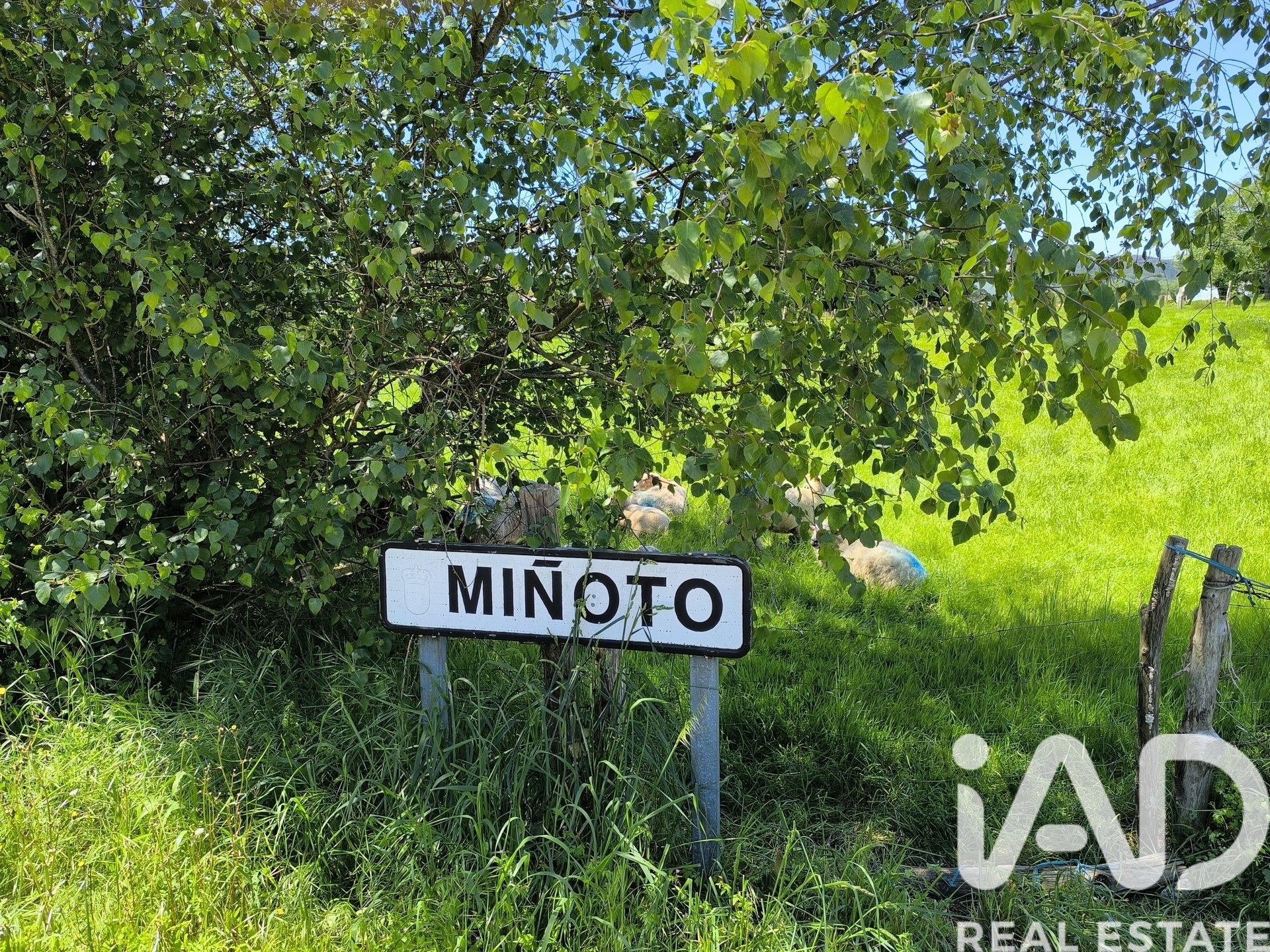 Дом в Пасториза, Луго, Испания 9 спален, 416м2 №172574