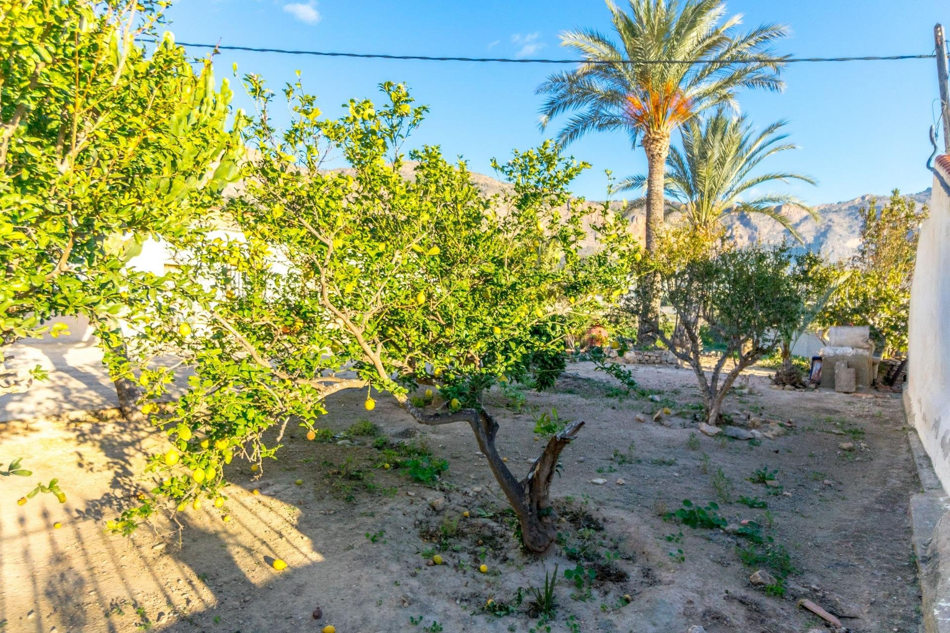 Finca in Raiguero de Bonanza, Alicante, Spain 4 bedrooms, 267 sq.m. No. 141470