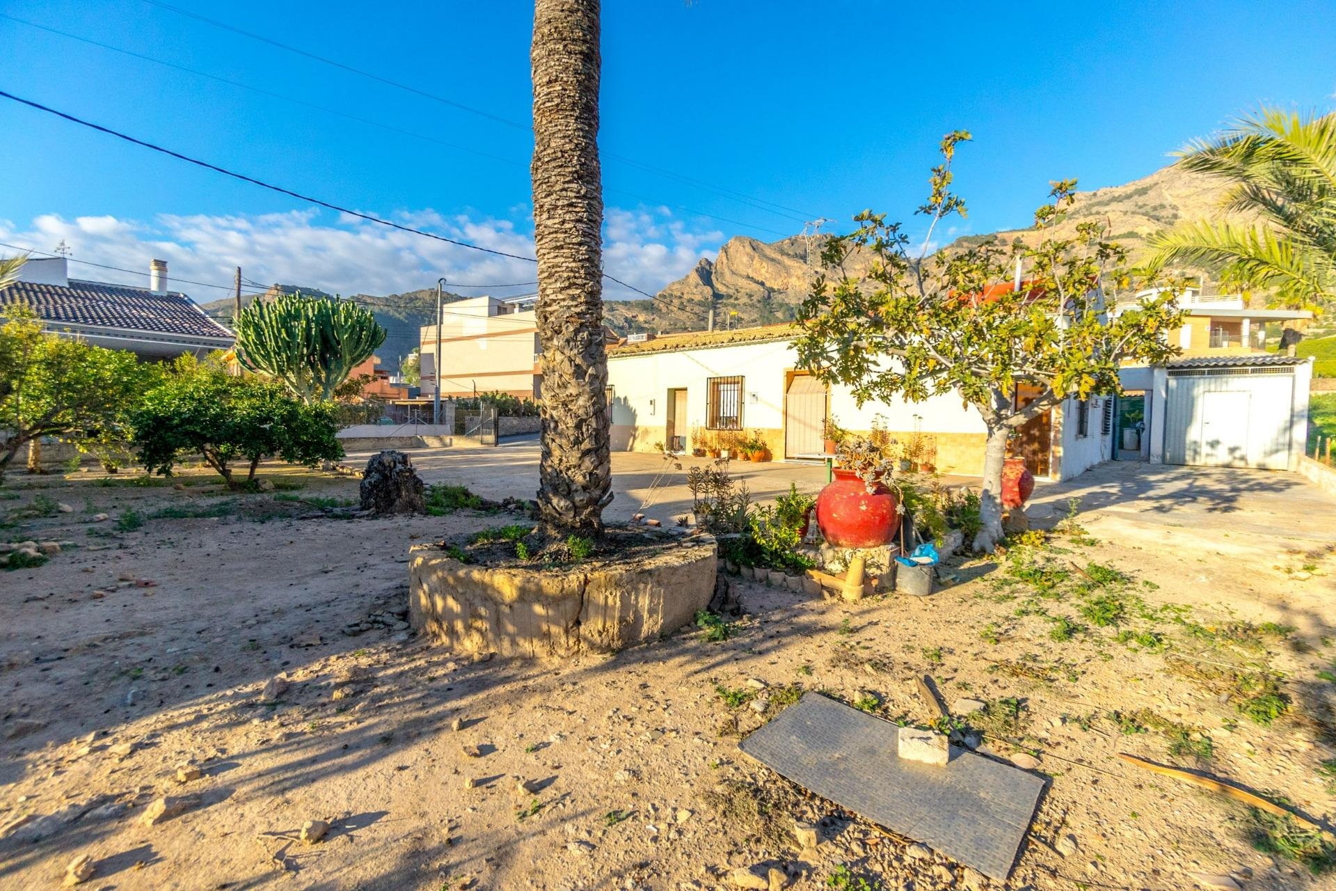 Finca in Raiguero de Bonanza, Alicante, Spain 4 bedrooms, 267 sq.m. No. 141470
