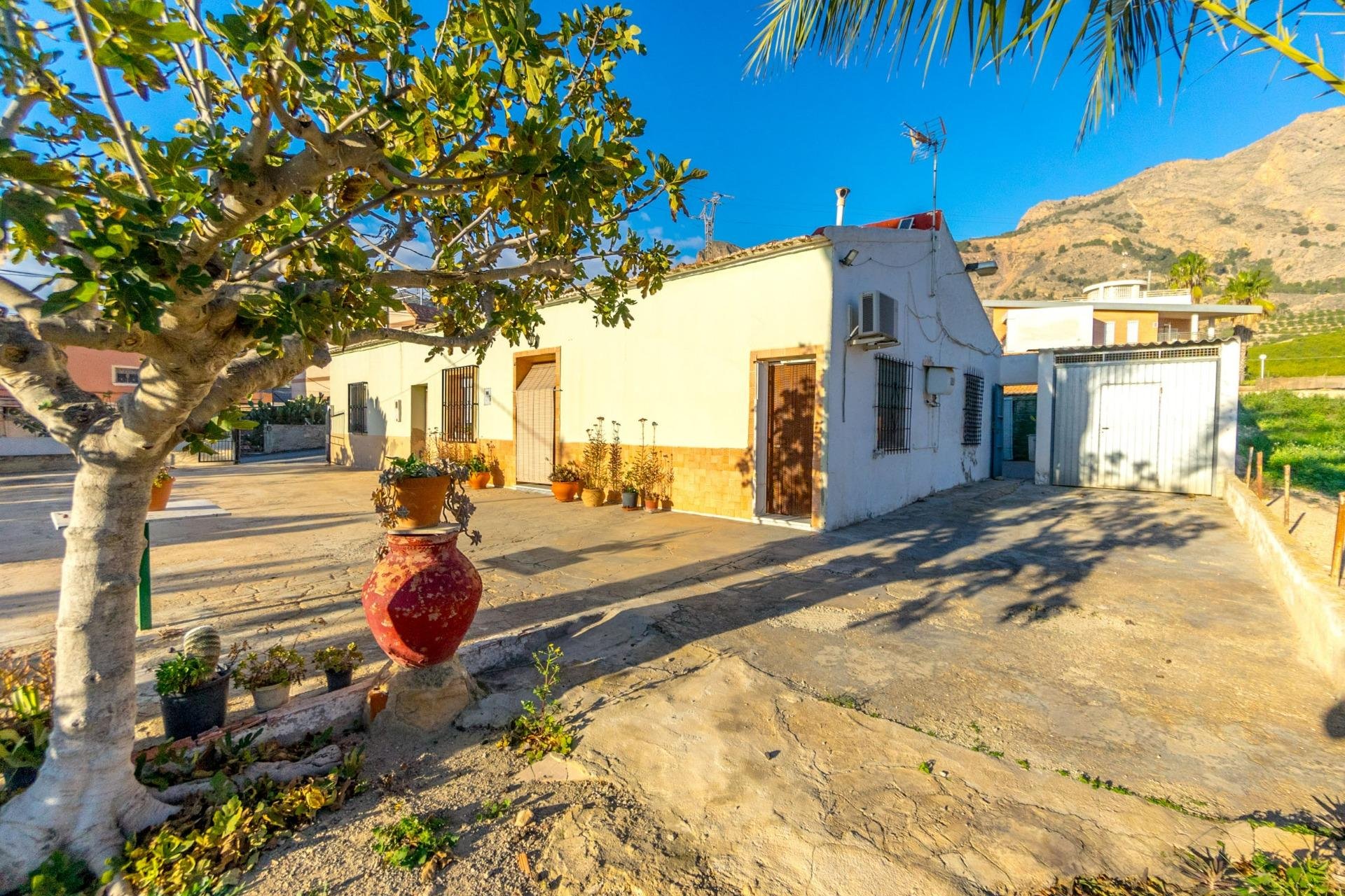 Finca in Raiguero de Bonanza, Alicante, Spain 4 bedrooms, 267 sq.m. No. 141470