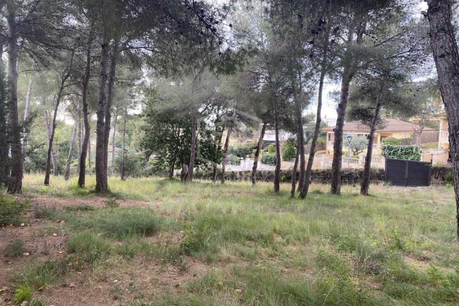 Land plot à Calafell, Tarragona, Espagne No. 78397