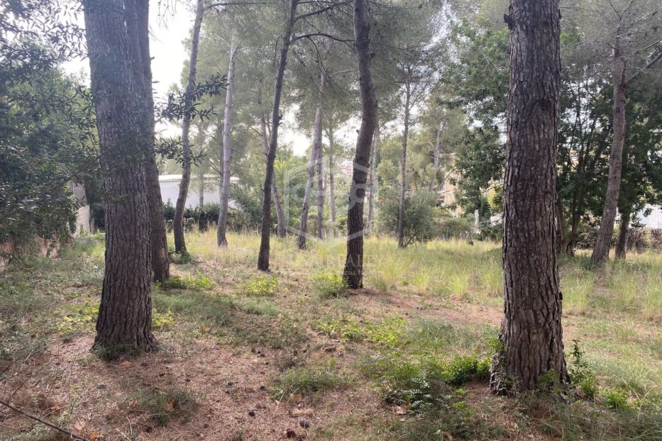 Land plot à Calafell, Tarragona, Espagne No. 78397