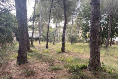 Land in Calafell, Tarragona, Spanien Nr. 78397